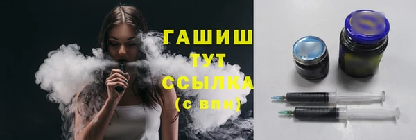 твердый Мегион