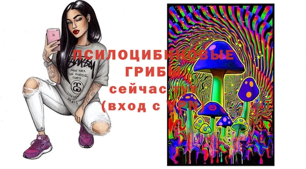 тгк Медвежьегорск