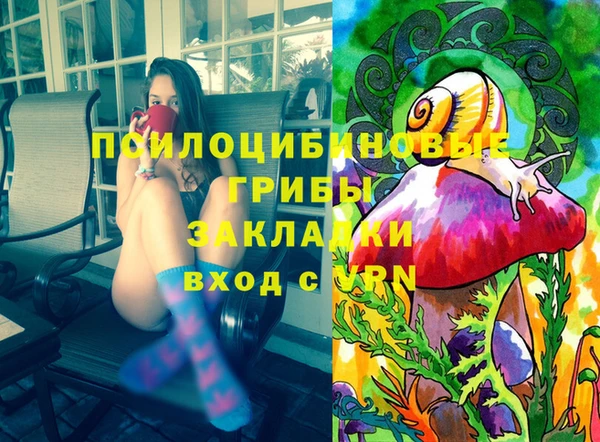 твердый Мегион